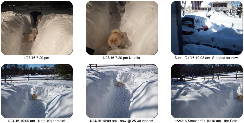 1/23/16 7:20 pm 1/23/16 7:20 pm Natalia Sun. 1/24/16 10:08 am  Stopped for now 1/24/16 10:09 am - Natalia�s domain! 1/24/16 10:09 am - now @ 25-30 inches! 1/24/16 Snow drifts 10:10 am - the Path